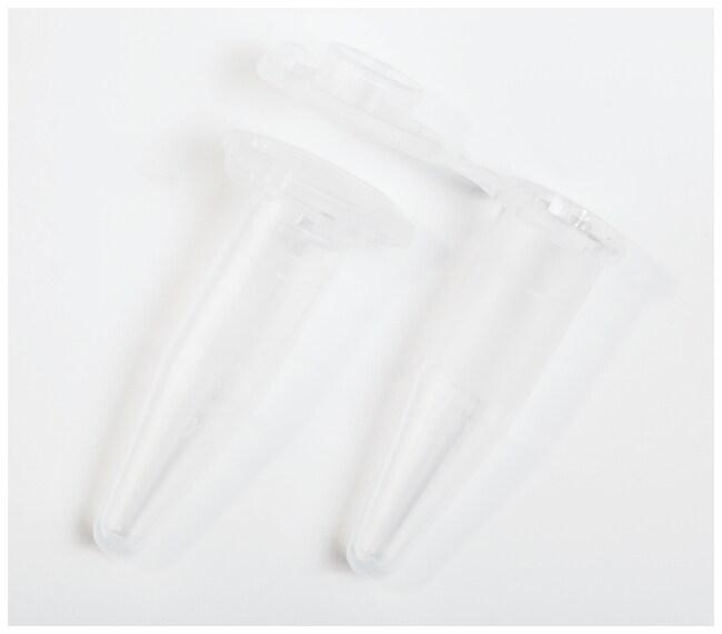 МІКРОПРОБІРКA FISHERBRAND™ ТИПУ EPPENDORF®, 1.5 МЛ (13Х39 ММ)